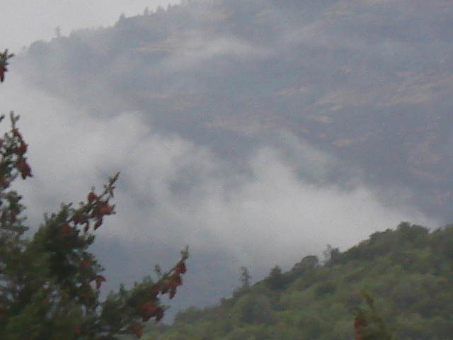 gal/2007 California/picture_116.jpg